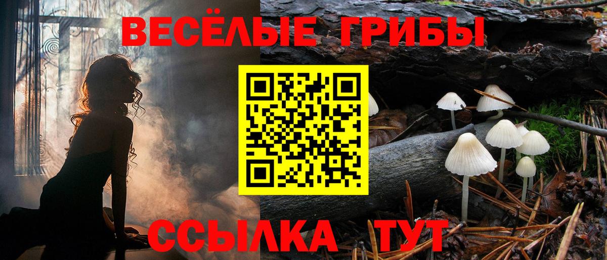 Галлюциногенные грибы GOLDEN TEACHER Кызыл